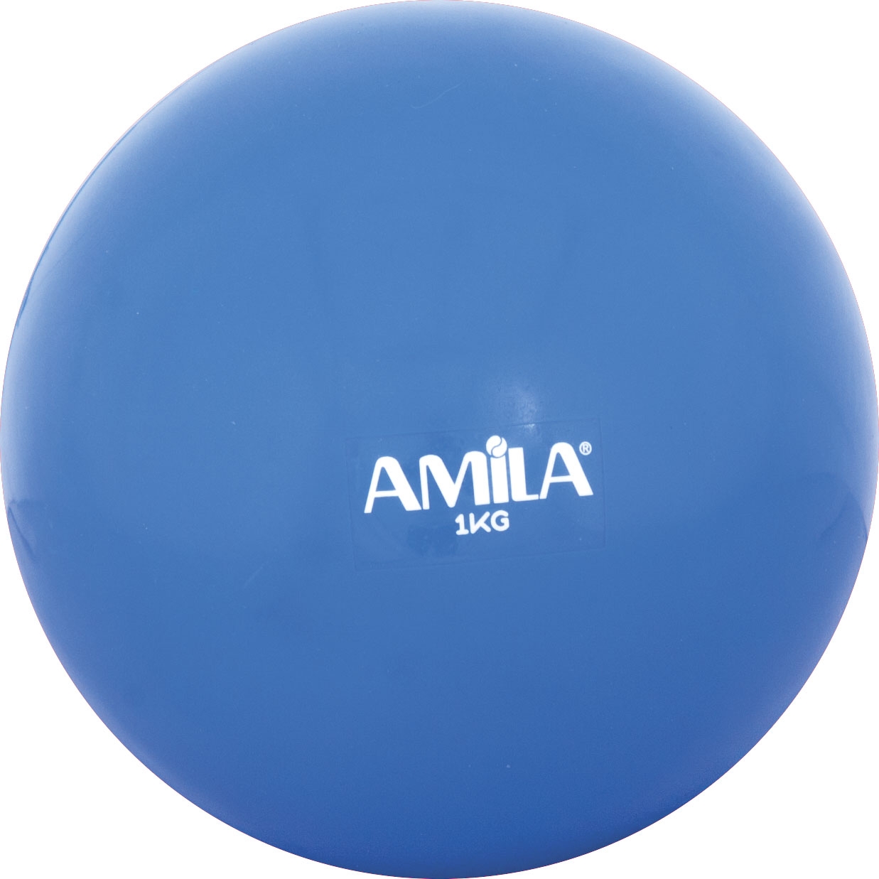 Amila Toning Ball 1kg Blue